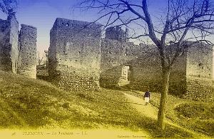 Tlemcen- Toubiana 01